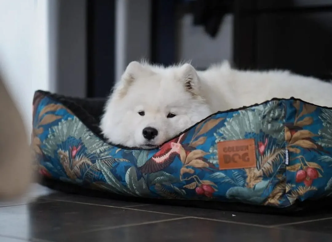 dog bed velvet husky