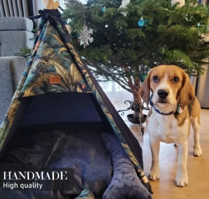 tipi for dog main